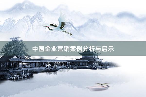 中国企业营销案例分析与启示